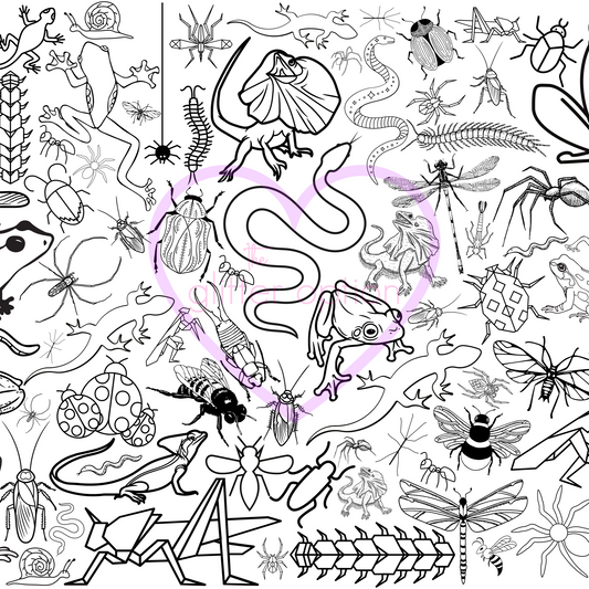 insects + bugs coloring page