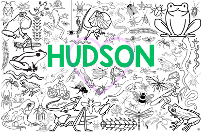 insects + bugs coloring page