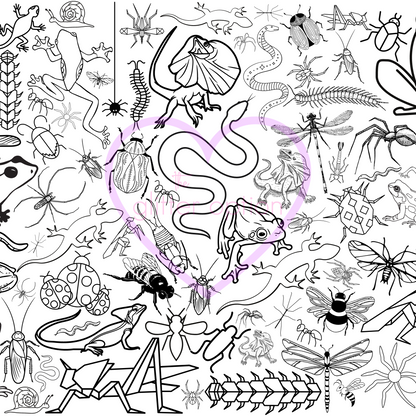 insects + bugs coloring page